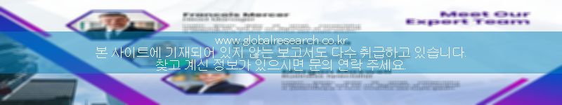 보고서 이미지