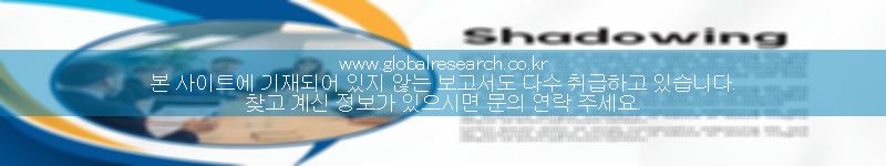 보고서 이미지